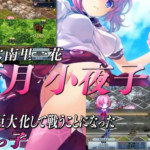 アリスソフト『武想少女隊ぶれいど☆ブライダーズ』の発売日が公開！！