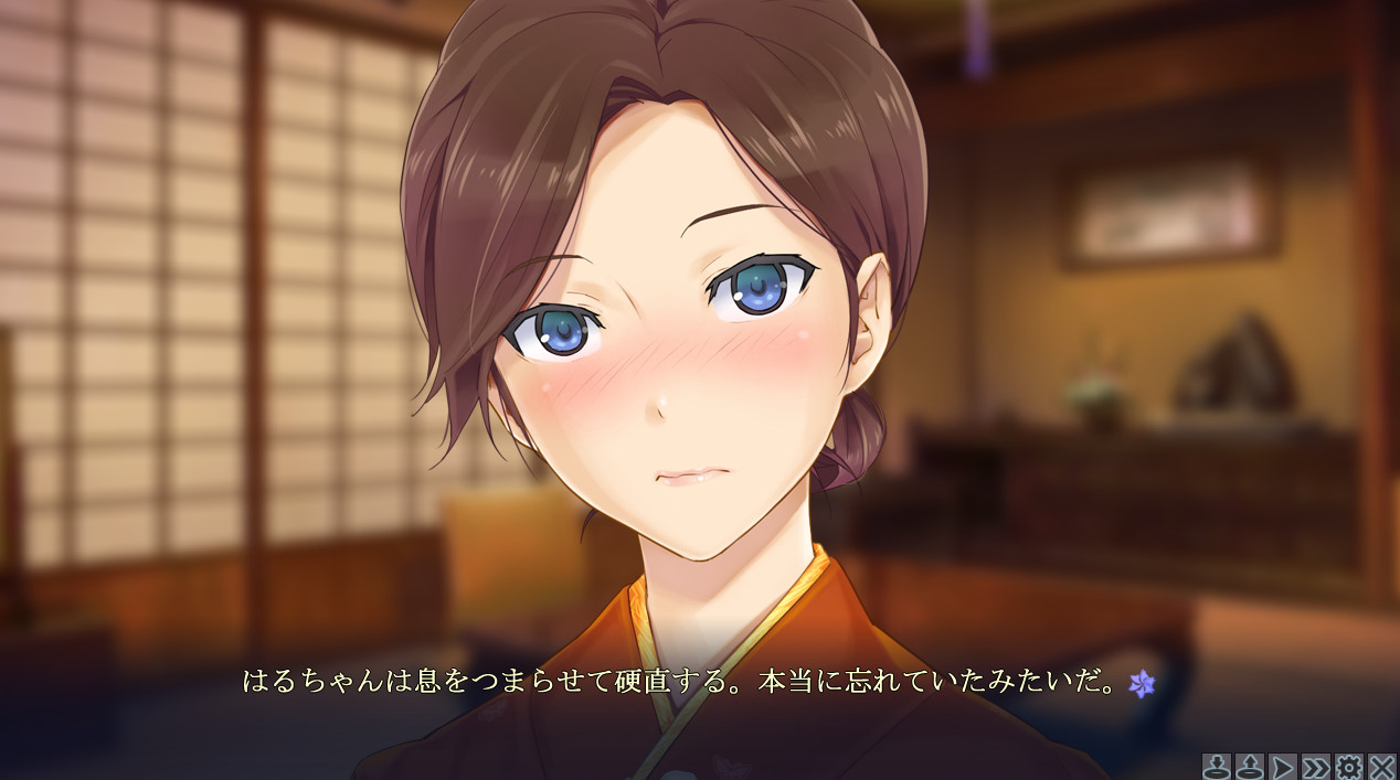 美少女万華鏡シリーズ