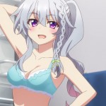 9-nine- Ruler’s Crown	第2話『新海天のエロい下着！』感想