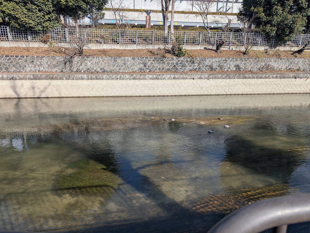 PXL_20260121_011255884