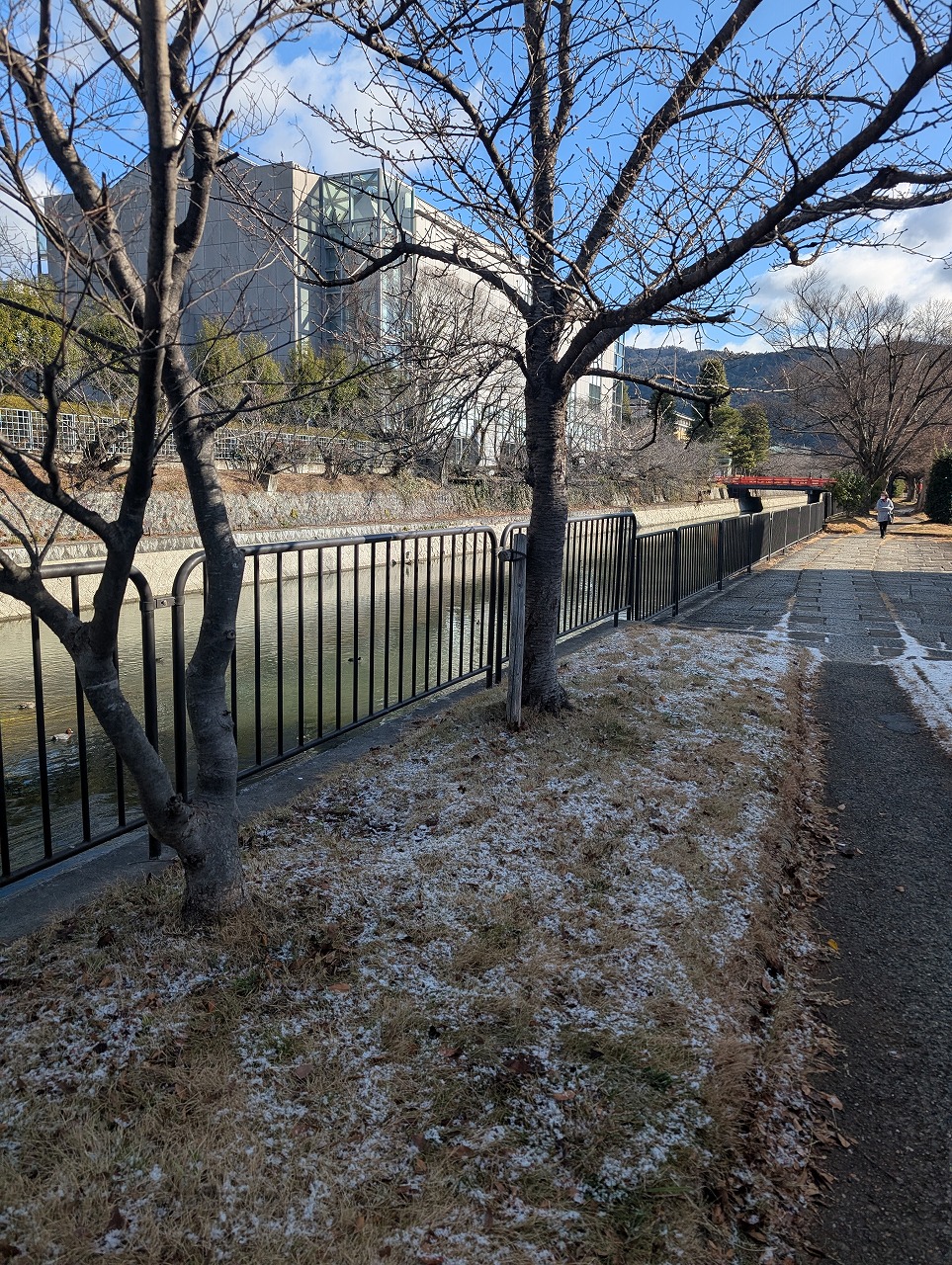 PXL_20260121_011340903