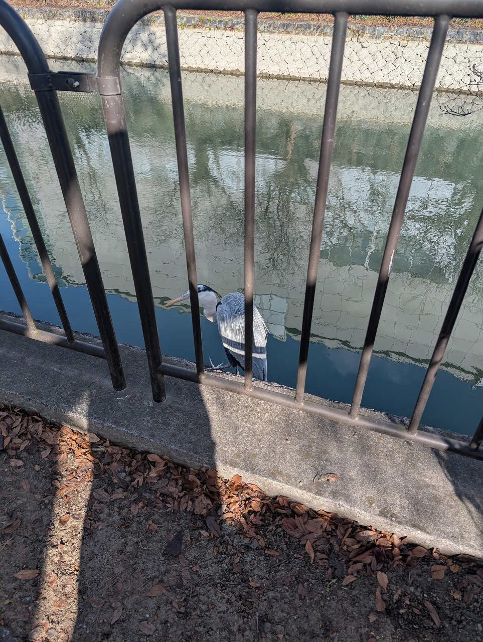 PXL_20260121_011459398