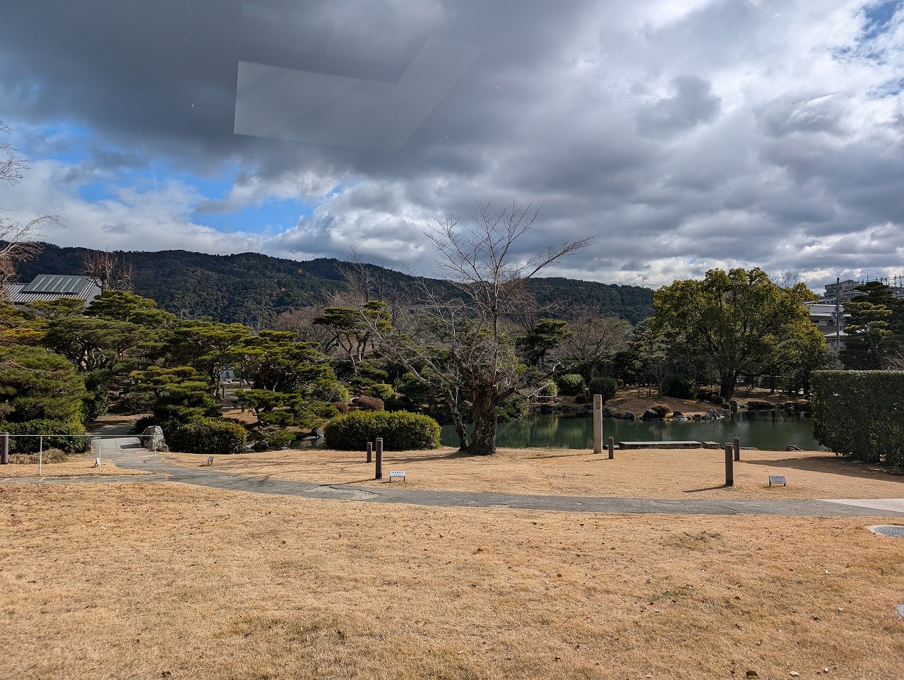 PXL_20260121_023705605