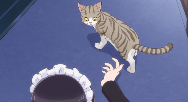 bandicam 2026-04-07 21-49-52-819